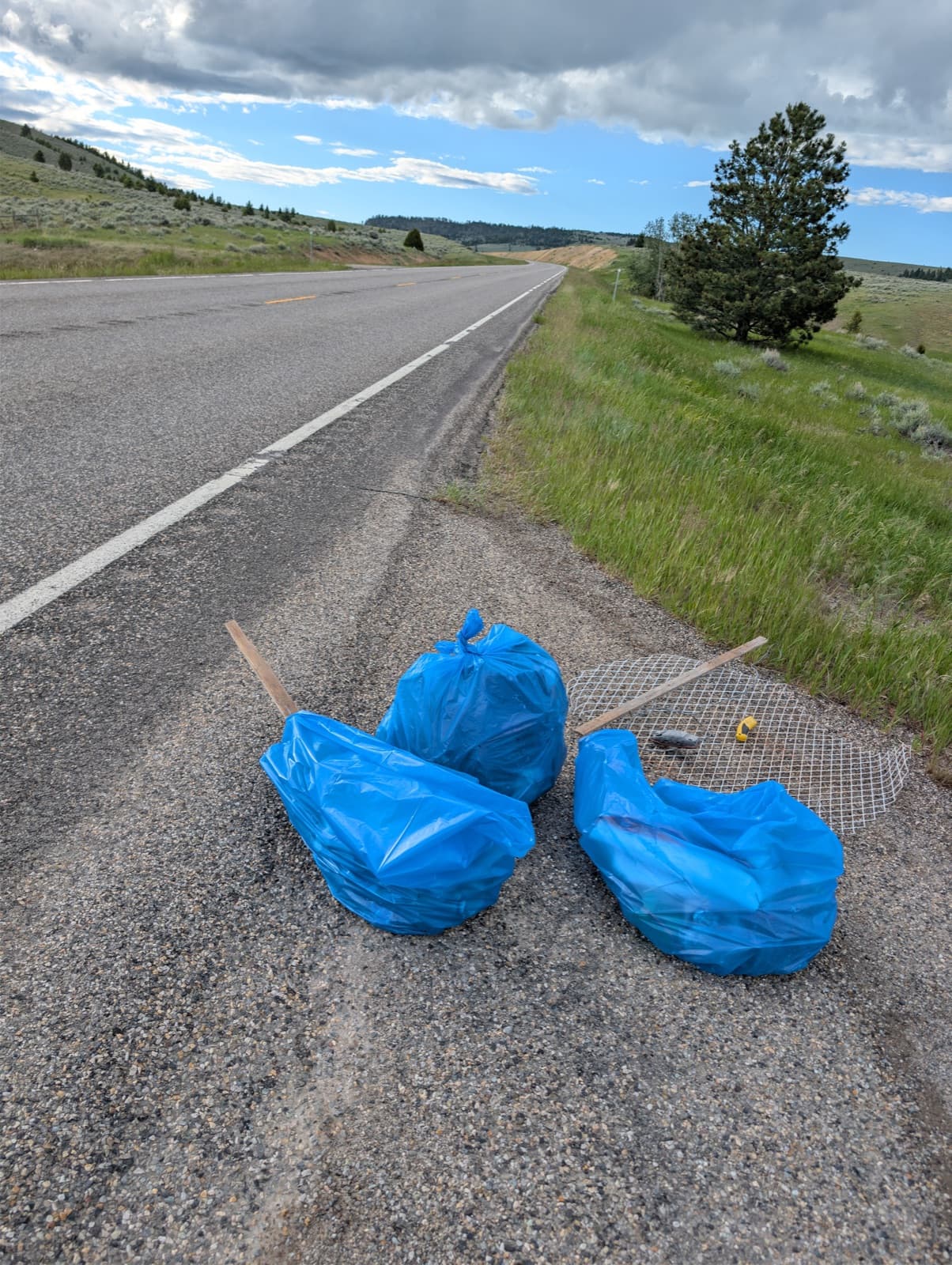 Rotary Highway Cleanup